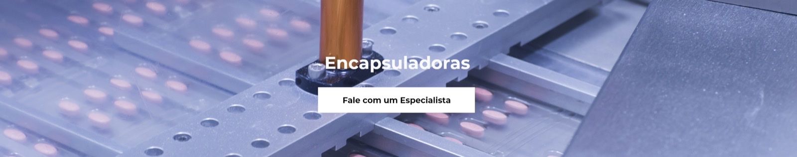 Encapsuladoras — fale com um especialista